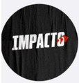 Imagem de perfil do parceiro Impacto Academia