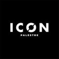 Immagine del profilo del partner ICON PALESTRE Imola