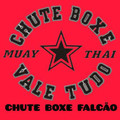 Imagem de perfil do parceiro Academia Chute Boxe Falcão