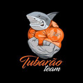 Imagem de perfil do parceiro Tubarão Team