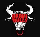Imagen de perfil del partner Brave Bulls Boadilla del Monte