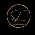 Imagem de perfil do parceiro Stymulus Life - Taboão da Serra