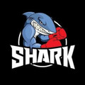 Imagen de perfil del partner Shark Boxing Club