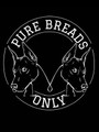 Pure Bread Training Partner profile image