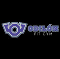 Imagen de perfil del partner Odilon Fit Gym