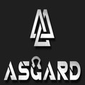Imagen de perfil del partner Asgard Performance Center