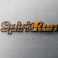 Imagem de perfil do parceiro Spirit Run
