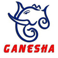 Imagen de perfil del partner Ganesha Taekwondo