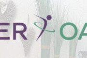 Power Oase Partner Profilbild