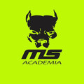 Imagem de perfil do parceiro MS Academia