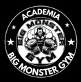 Imagem de perfil do parceiro Big Monster Gym