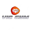 Imagen de perfil del partner Vic Gym 2