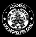 Imagem de perfil do parceiro Big Monster Gym Unidade 2