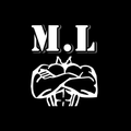 Imagem de perfil do parceiro Academia ML Sport