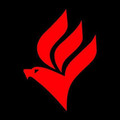 Imagem de perfil do parceiro Academia Gaviões 24h - Joinville