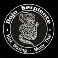 Imagen de perfil del partner Dojo Serpiente - Tauro Team