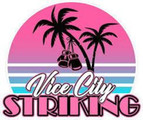 Vice City Striking partner profile image