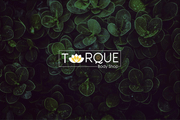 Torque Body Shop Partner profile image
