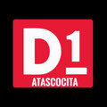 D1 Training Atascocita Partner profile image