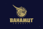 Imagem de perfil do parceiro CrossFit Bahamut - Jundiaí