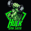 Imagen de perfil del partner Hulk Gym San Martín