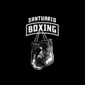 Imagen de perfil del partner Santuario Boxing Del Valle