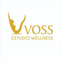 Imagen de perfil del partner VOSSESTUDIO