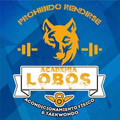Imagen de perfil del partner ACADEMIA LOBOS ACONDICIONAMIENTO FISICO