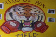 Imagen de perfil del partner Club De Box Melo