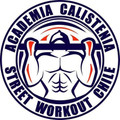 Imagen de perfil del partner Academia de Calistenia SW Chile