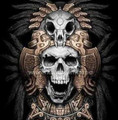 Imagen de perfil del partner Altamira Gym
