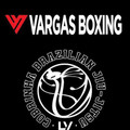 Vargas Boxing Partner profile image