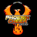 Imagen de perfil del partner PHOENIX CHEER ACADEMY