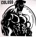 Imagen de perfil del partner Coloso Gym