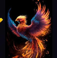Imagem de perfil do parceiro Fênix Academia - Santa Margarida