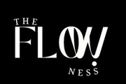 Imagen de perfil del partner The Flowness