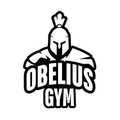 Imagen de perfil del partner Obelius Gym