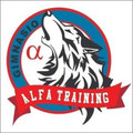 Imagen de perfil del partner Gym Alfa Training Center