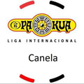 Imagem de perfil do parceiro Pa-Kua Canela