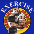 Imagem de perfil do parceiro Exercise Academia