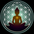 ZenVida Yoga & Fitness Studio partner profile image