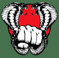 New Generation Karate Partner profile image