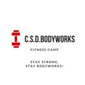 Immagine del profilo del partner C.S.D. Palestra Bodyworks