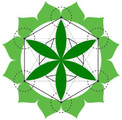 Fresh Prana Yoga Partner profile image