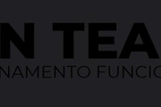 Imagem de perfil do parceiro DN Team