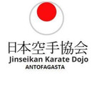 Imagen de perfil del partner Jinseikan Karate Dojo