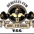 Imagen de perfil del partner Hercules GYM VGG T020