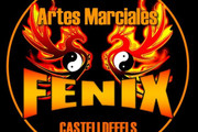Imagen de perfil del partner Gym Fenix