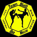 Imagen de perfil del partner Team Bielli