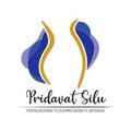 Imagen de perfil del partner Pridavat Silu